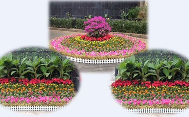 振興華龍人喜迎中秋、國(guó)慶雙節(jié)